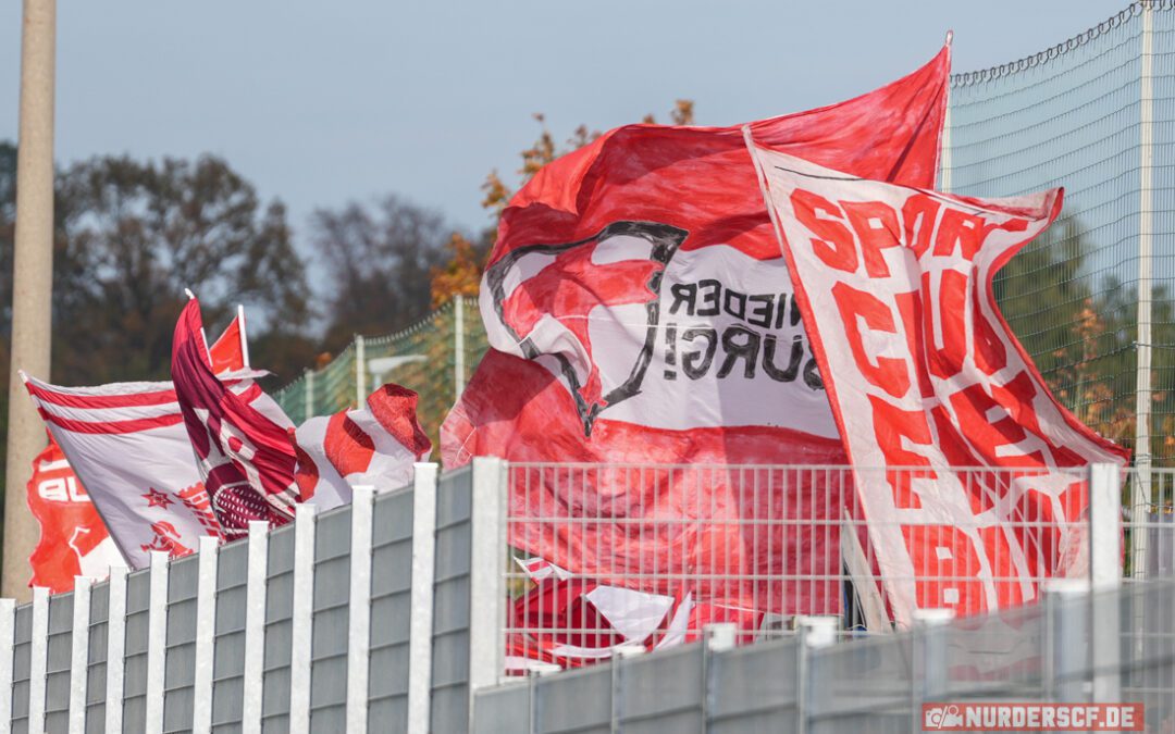 1.Göppinger SV – SC Freiburg II: Hier und Überall: Nein zu Red Bull!