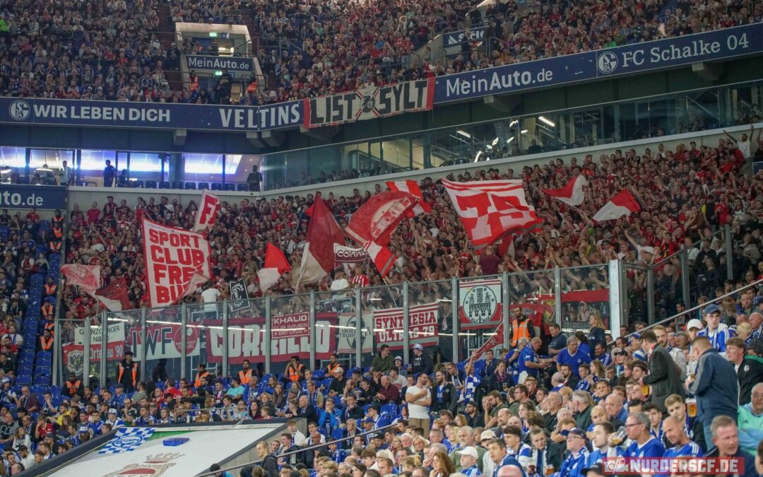 Schalke 04 – SC Freiburg: Klare Angelegenheit im Revier